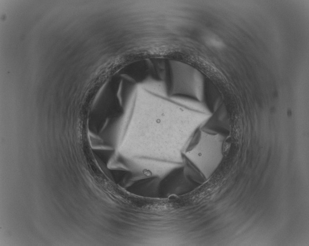 X0000077310639200611101434