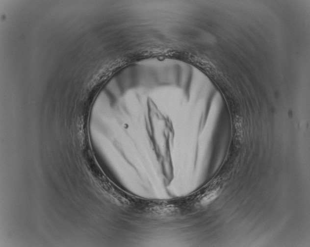 X0000077310642200611101434