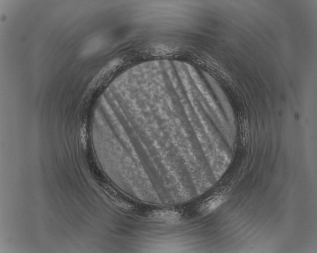 X0000077310644200611101434