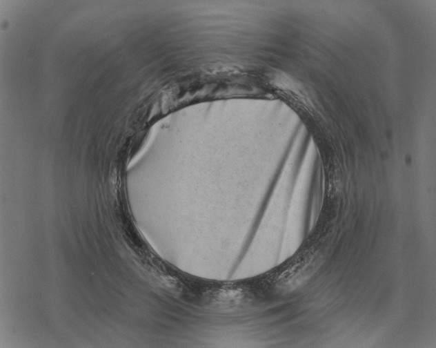 X0000077310647200611101434