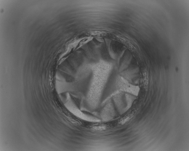 X0000077310653200611101434