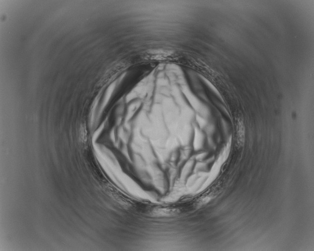 X0000077310657200611101434