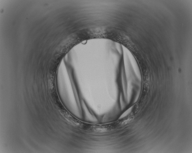 X0000077310658200611101434