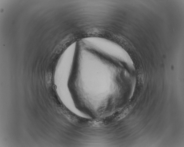 X0000077310660200611101434