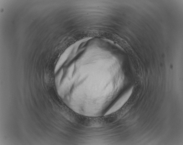 X0000077310663200611101434
