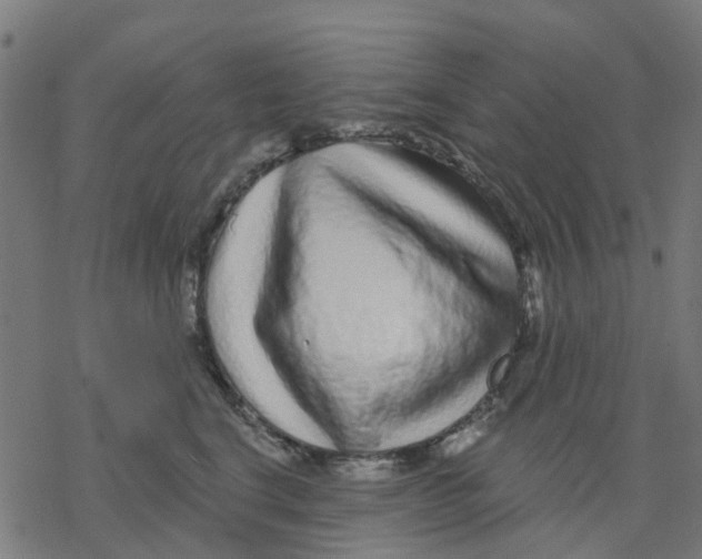 X0000077310664200611101434
