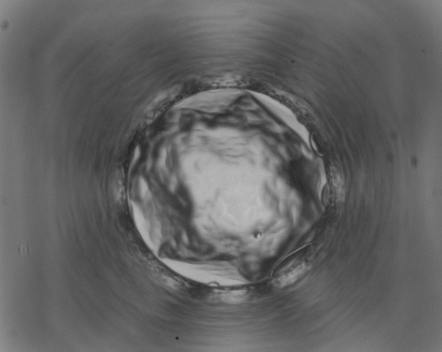 X0000077310665200611101434