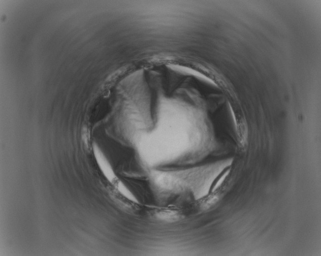 X0000077310669200611101434