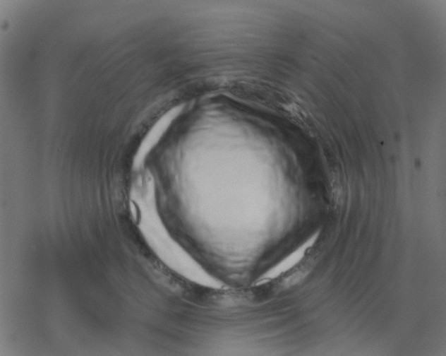 X0000077310670200611101434