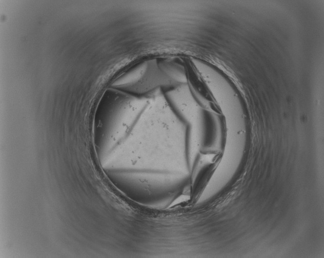 X0000077310673200611101434