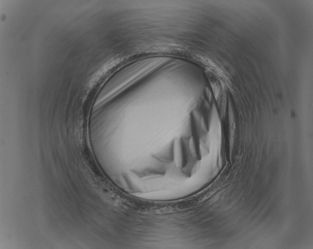 X0000077310675200611101434
