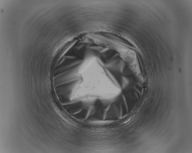 X0000077310677200611101434