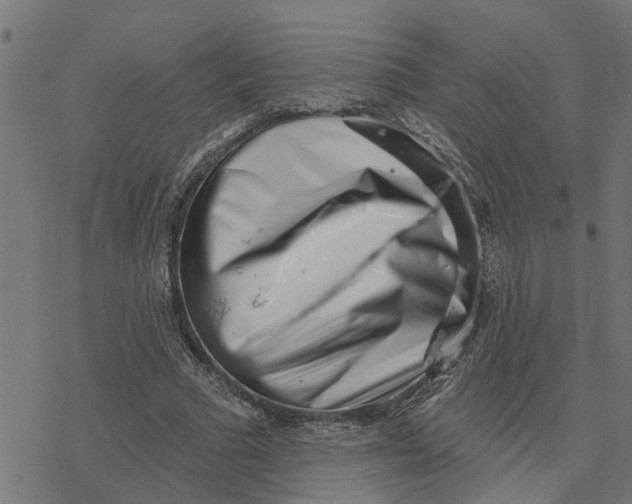 X0000077310681200611101434