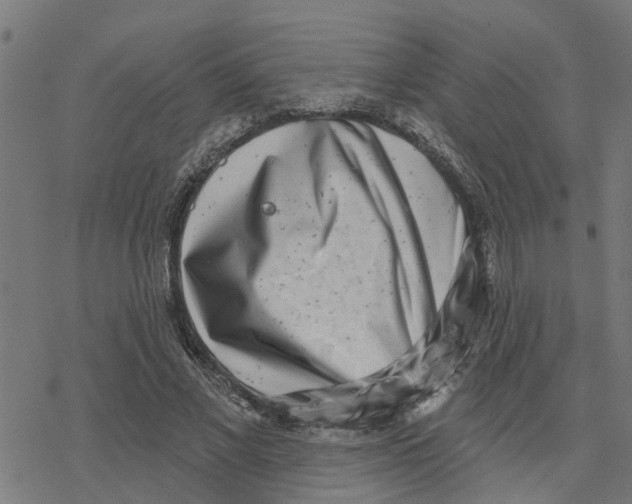 X0000077310685200611101433