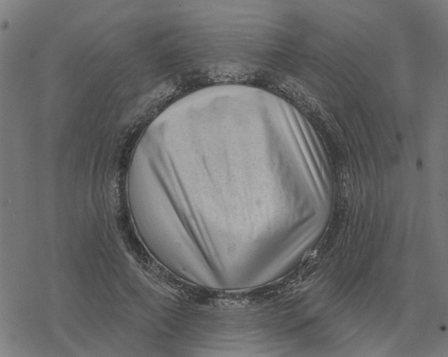 X0000077310690200611101433