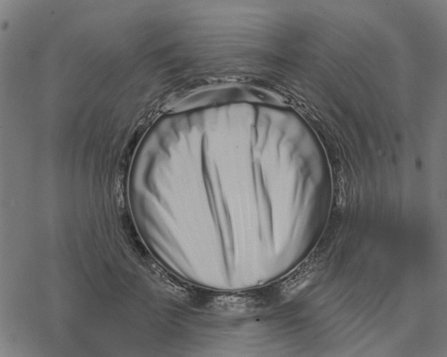 X0000077310699200611101433