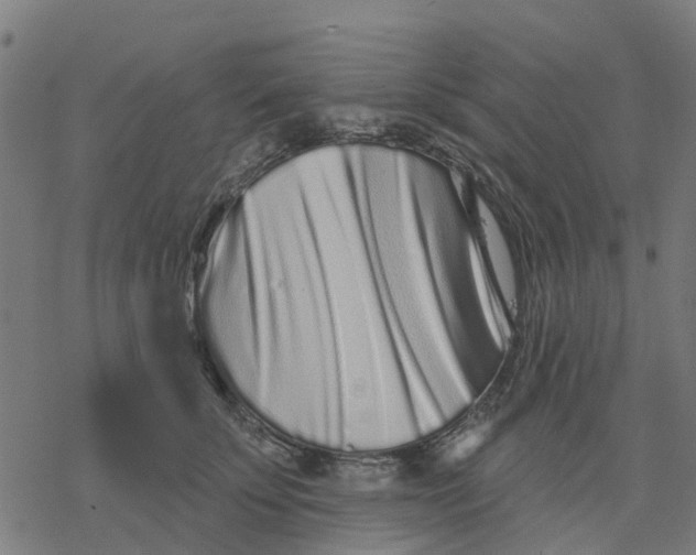 X0000077310707200611101433