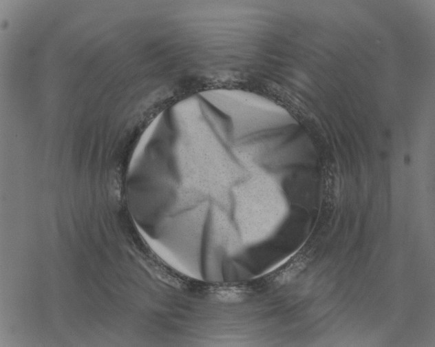 X0000077310710200611101433