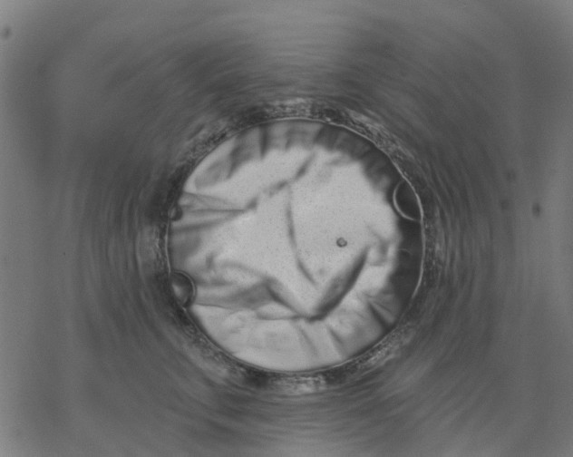 X0000077310711200611101433