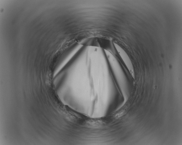 X0000077310712200611101433