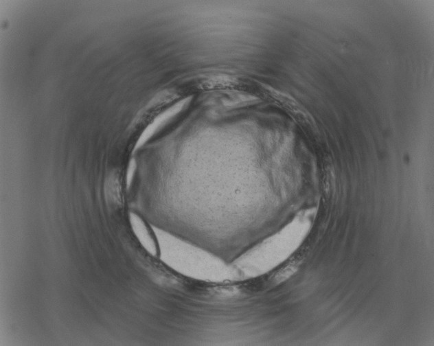 X0000077310715200611101433