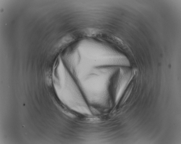 X0000077310719200611101433