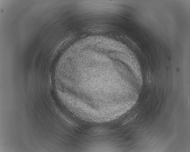 X0000077310733200611101432