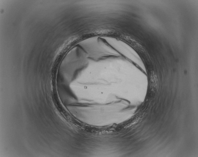 X0000077310734200611101432