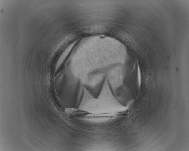 X0000077310735200611101432
