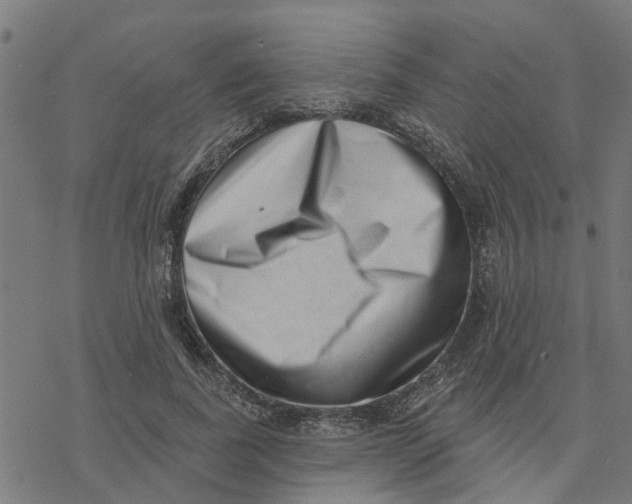X0000077310739200611101432