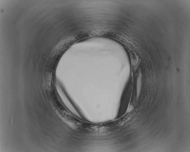 X0000077310742200611101432