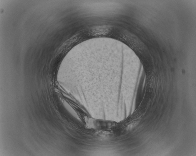 X0000077310743200611101432
