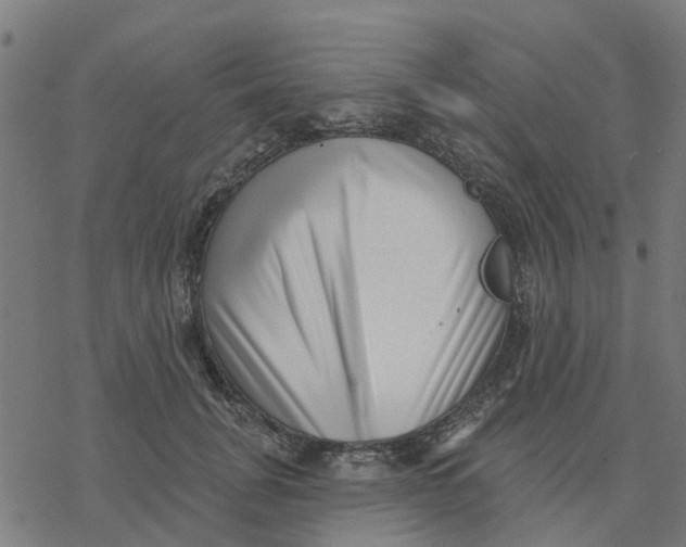 X0000077310751200611101433