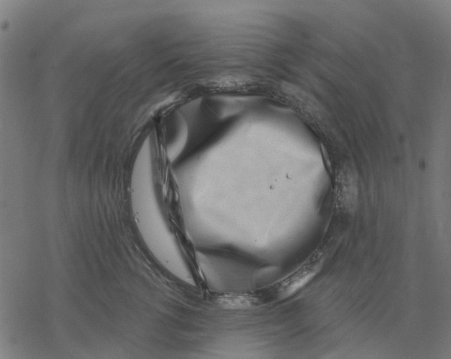 X0000077310762200611101433