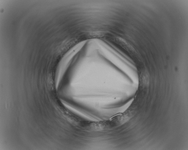 X0000077310764200611101433