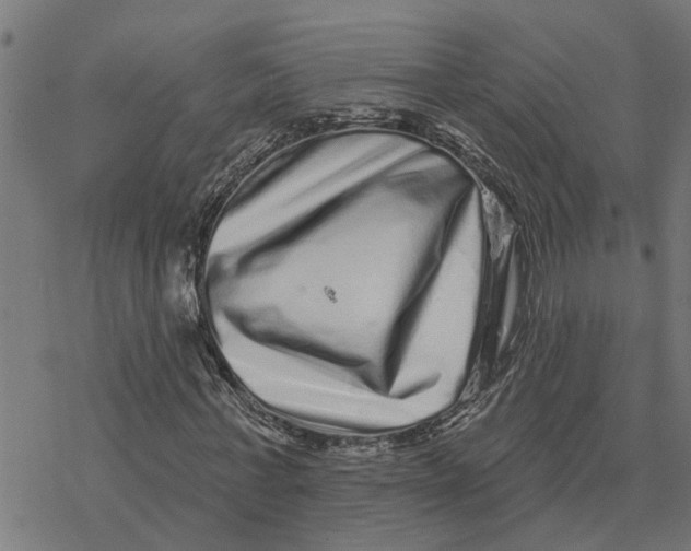 X0000077310771200611101432