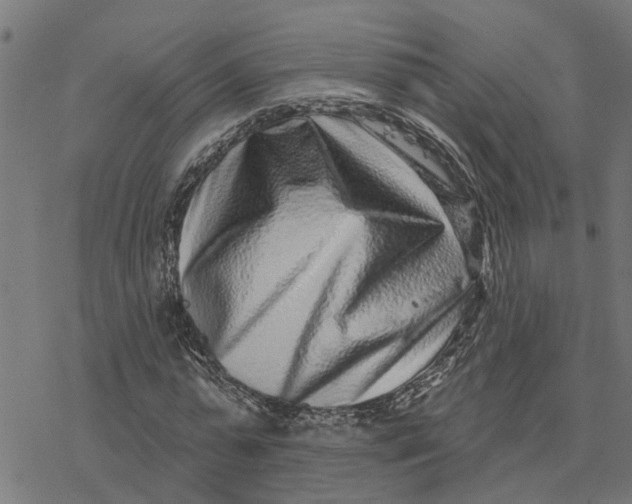 X0000077310775200611101432
