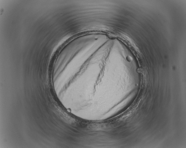 X0000077310780200611101432