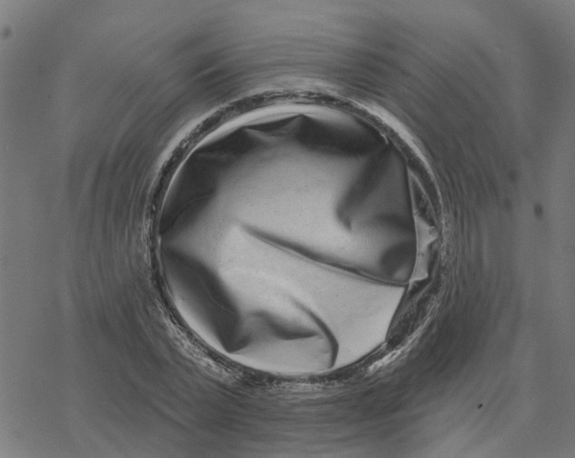 X0000077310783200611101432