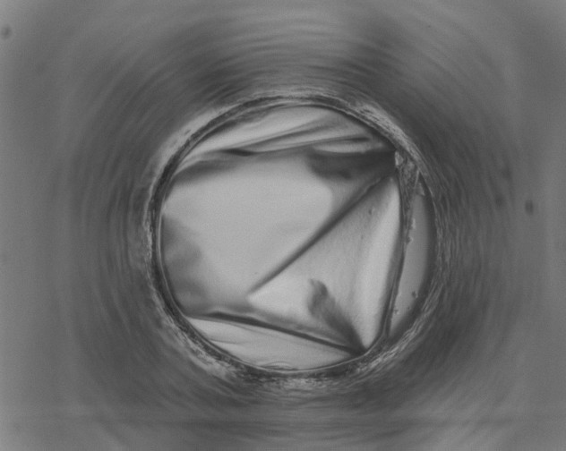 X0000077310787200611101432