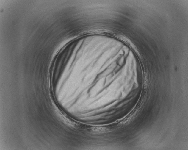 X0000077310795200611101432