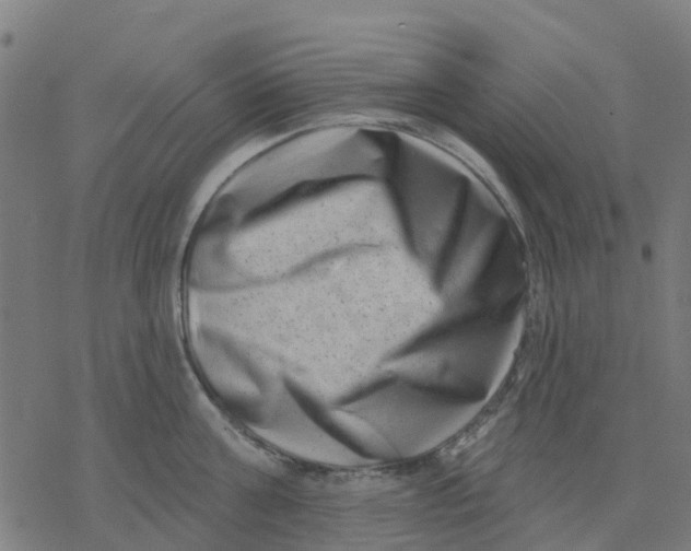 X0000077310811200611101431