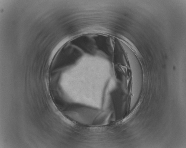X0000077310812200611101431