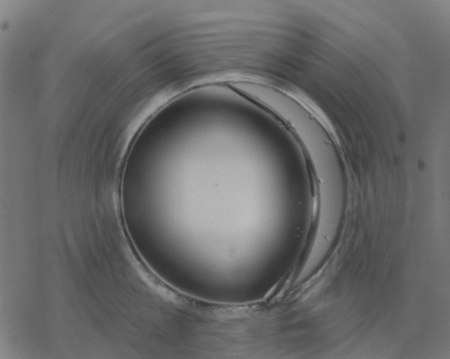 X0000077310813200611101431