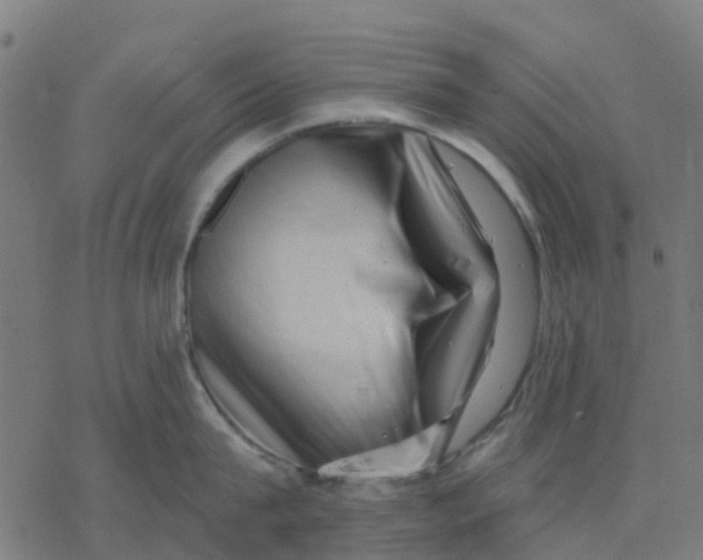 X0000077310815200611101431