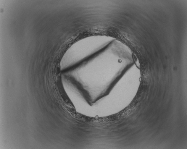 X0000077310817200611101431