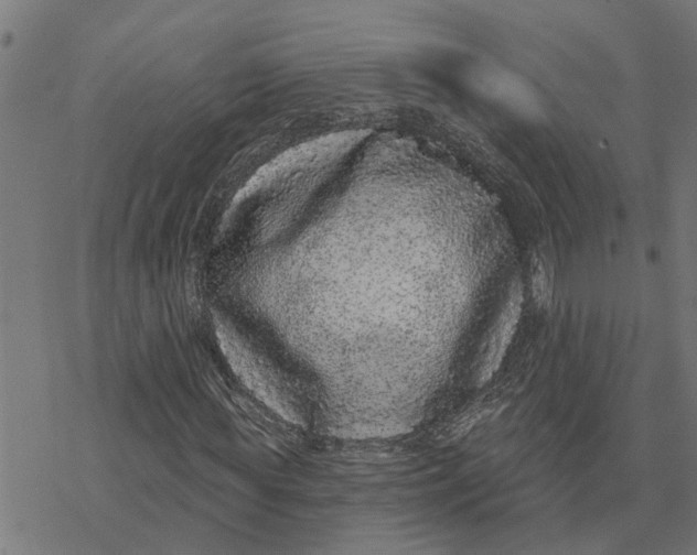 X0000077310819200611101431