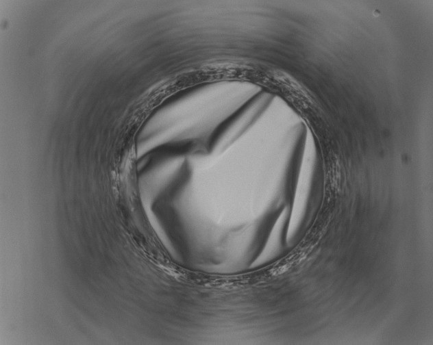 X0000077310821200611101431