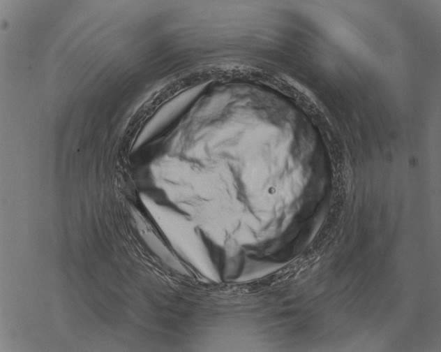 X0000077310823200611101431