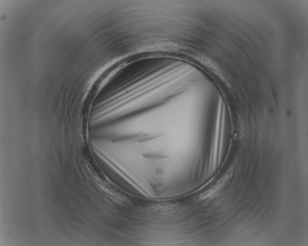 X0000077310830200611101431